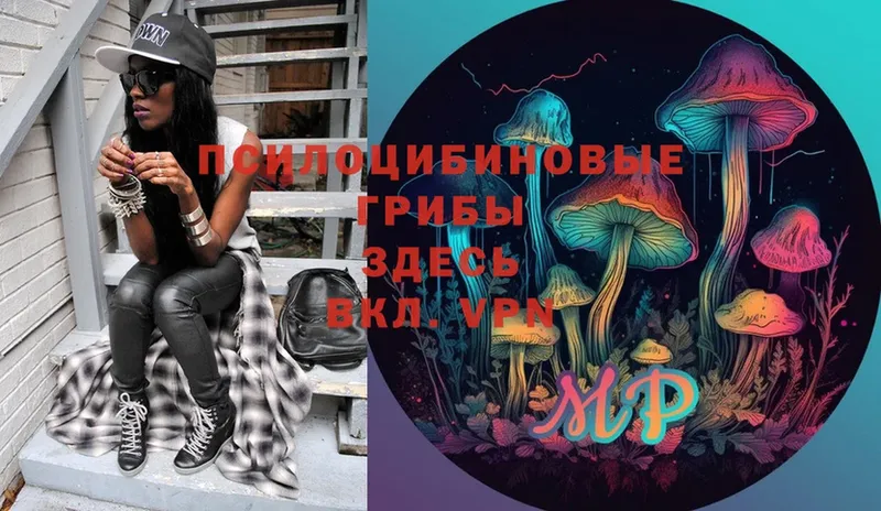 Псилоцибиновые грибы Psilocybe Белово